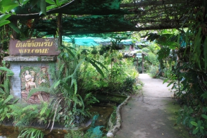 welcome to khao sok resort